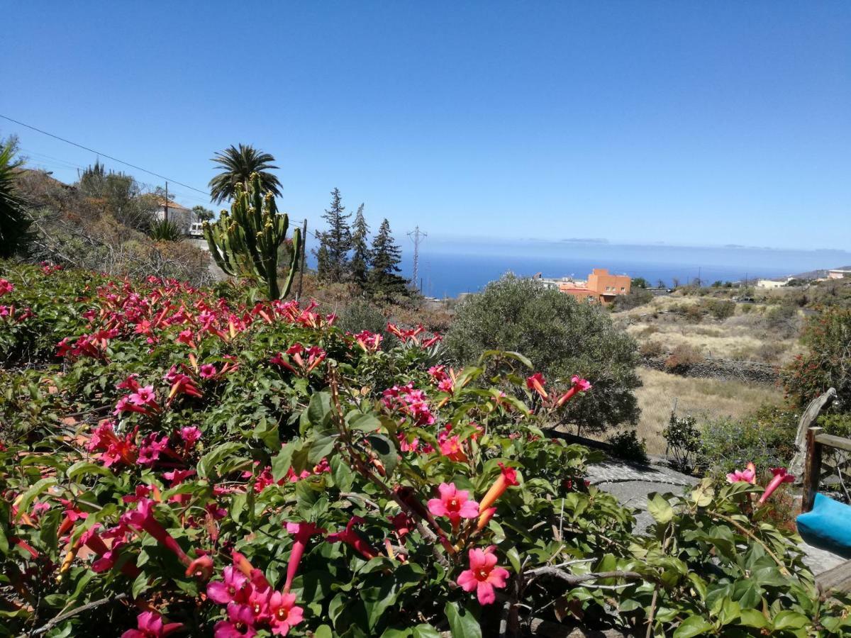 Finca Alda Los Llanos De Aridane Kültér fotó